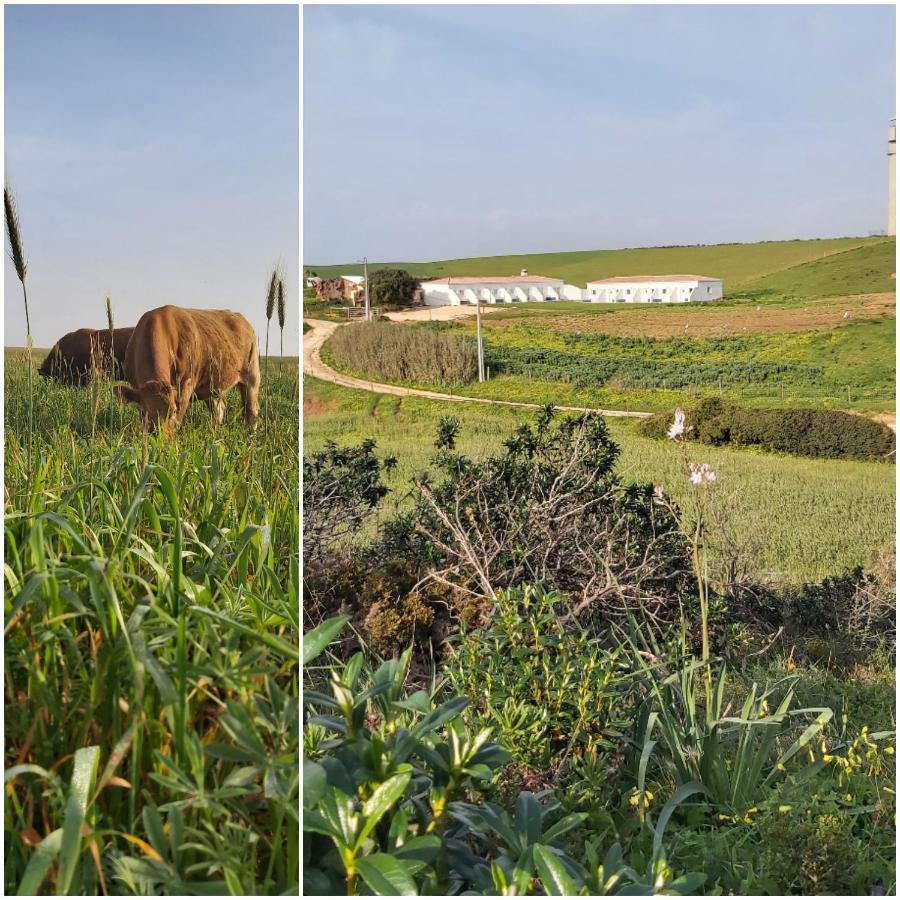 Monte Bagao - Turismo Rural Vila do Bispo Bagian luar foto